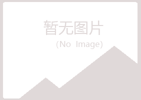 青岛黄岛新蕾建设有限公司